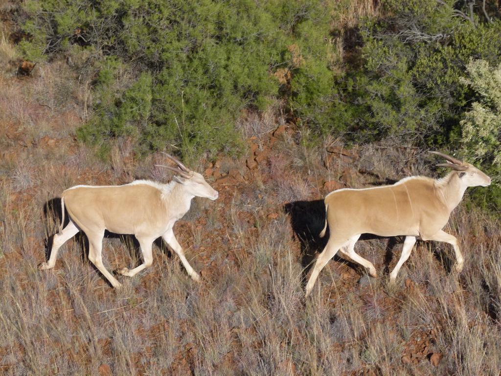 Red Sands Country Lodge Kuruman Eksteriør billede